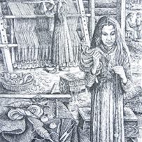 sheena-howarth-illustrator