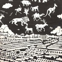 sheena-howarth-illustrator