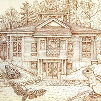 sheena-howarth-illustrator