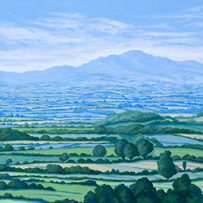 sheena-howarth-illustrator
