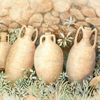 sheena-howarth-illustrator