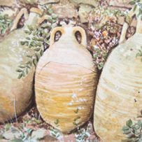 sheena-howarth-illustrator