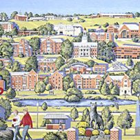 sheena-howarth-illustrator